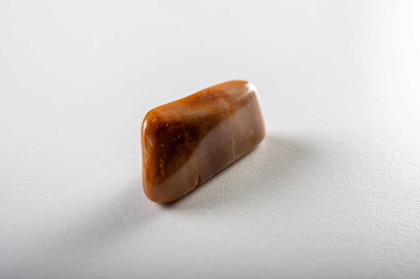 Bois fossile