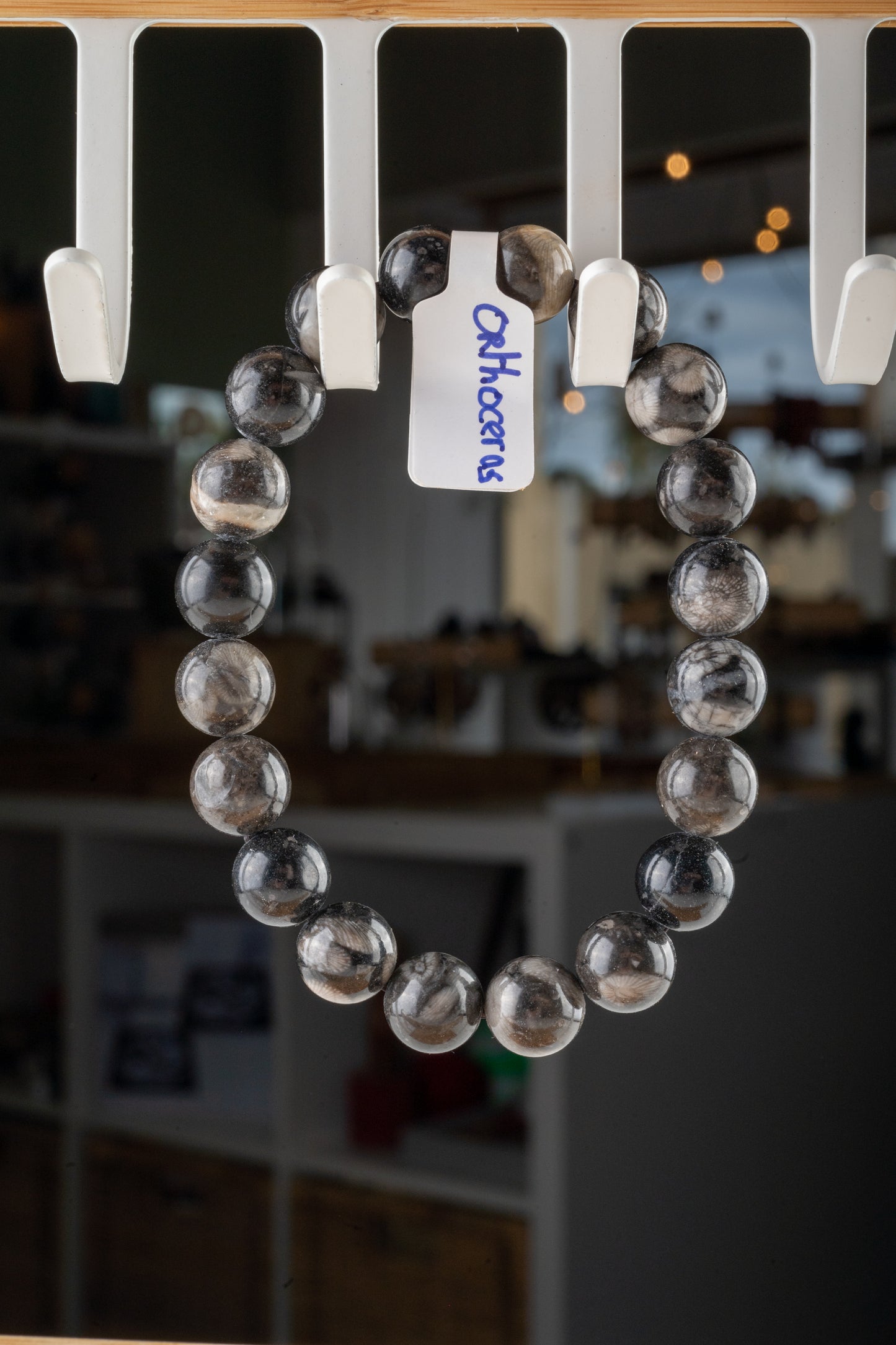 Bracelet en Orthoceras – Connexion à l'Énergie Ancestrale & Stabilité