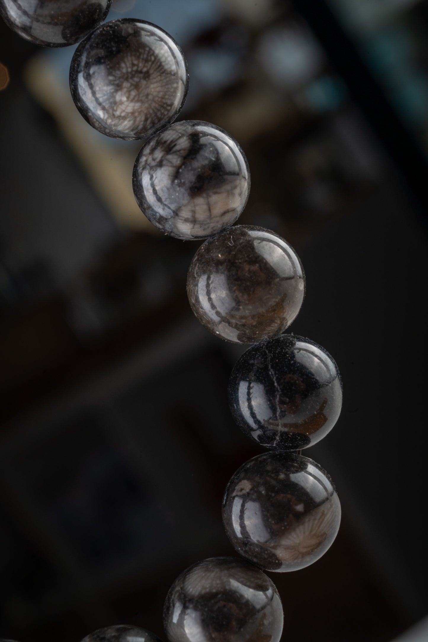Bracelet en Orthoceras – Connexion à l'Énergie Ancestrale & Stabilité